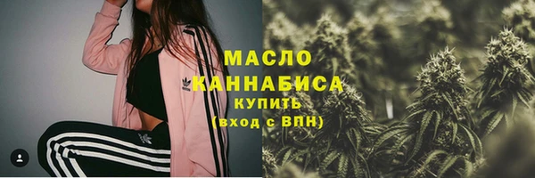 твердый Бородино