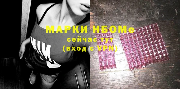 твердый Бородино