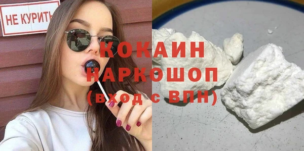 твердый Бородино
