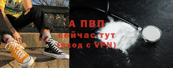 твердый Бородино