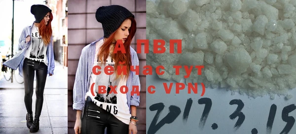 твердый Бородино